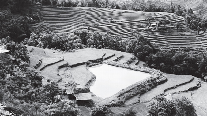 Ao hình trái tim trên vùng cao Thèn Phàng (Xín Mần). Ảnh: Trường phong