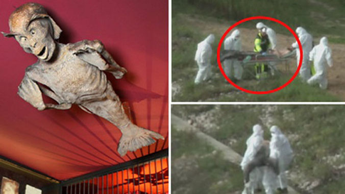 Hình ảnh sinh vật lạ khiến nhiều người nghi ngờ về sự tồn tại của người cá.