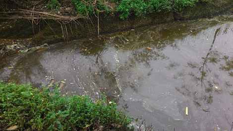 Ông Phan Ngọc Kiên, Trưởng thôn Lũng Vị cho biết, nguồn nước sạch tại đây đã bị cạn kiệt, nước dành cho tưới tiêu tồn đọng nhiều chất thải độc hại. Nhiều hộ dân phải bỏ tiền đi mua nước sạch về dùng