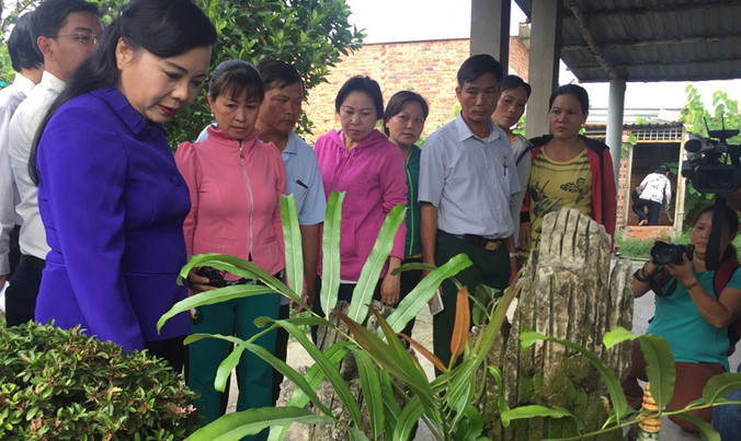 “Hòn Non bộ mà cũng nuôi cá để ăn lăng quăng là quá tốt, rất đáng khen”- Bộ trưởng Y tế khen ngợi khi thị sát tại nhà dân.