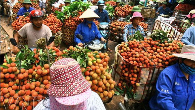 Để tránh tình trạng “tắc” vải ở cửa khẩu cần tăng tiêu thụ nội địa 