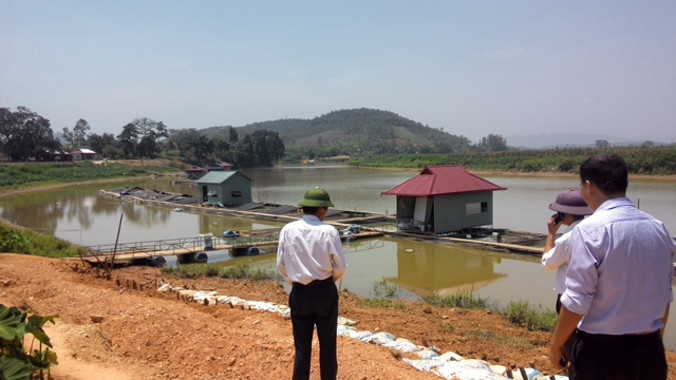 Những bè cá ở xã Quang Húc trên sông Bứa mang lại kinh tế cao cho người dân