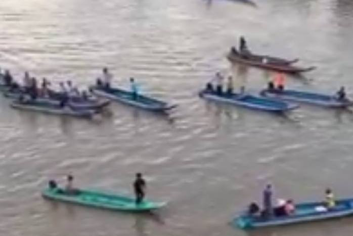 Người dân dùng vỏ máy theo con cá heo