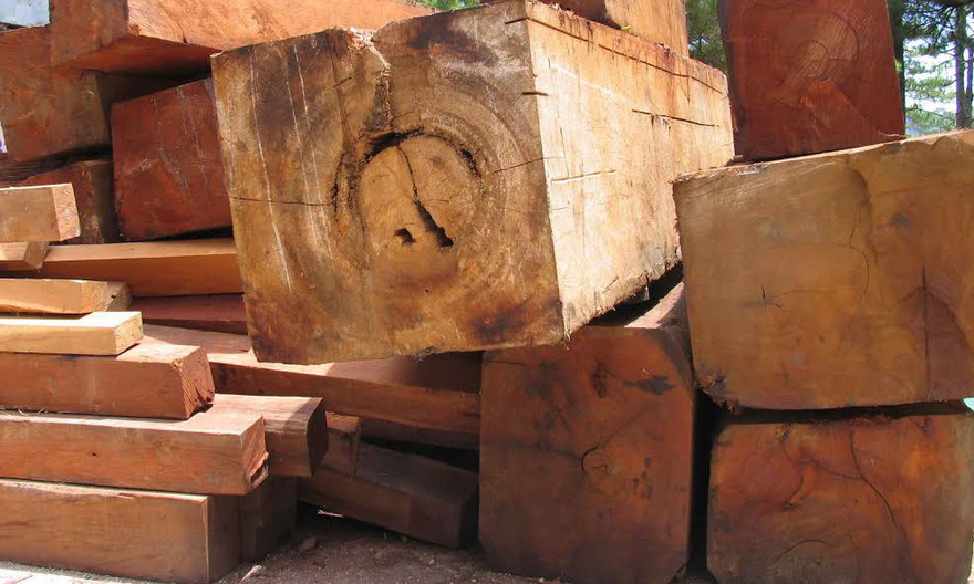 Gỗ lậu kiểm lâm thu giữ từ các vụ vi phạm lâm luật ở Lâm Đồng
