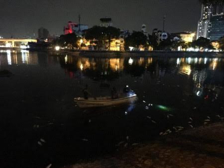 Cá chết hàng loạt trên hồ Hoàng Cầu do sốc nhiệt