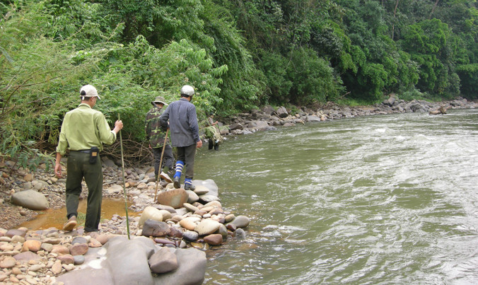 Một khúc sông Đồng Nai.