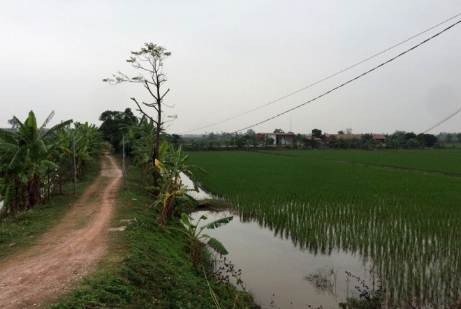 Hiện trường đầm thuỷ sản nơi các con bạc tổ chức đá gà