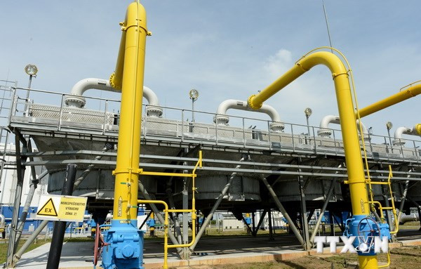 Ảnh minh họa. Nguồn:THX/TTXVN