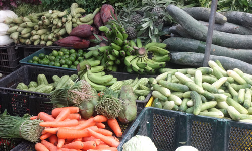 Giá rau xanh có thể tiếp tục ở mức cao trong một vài ngày tới do mưa rét tại miền Bắc còn kéo dài. Ảnh: Kim Thanh Thy Hạt.