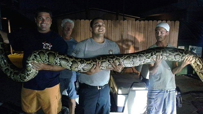 Các nhân viên chụp hình cùng con con trăn. Nguồn: DM.