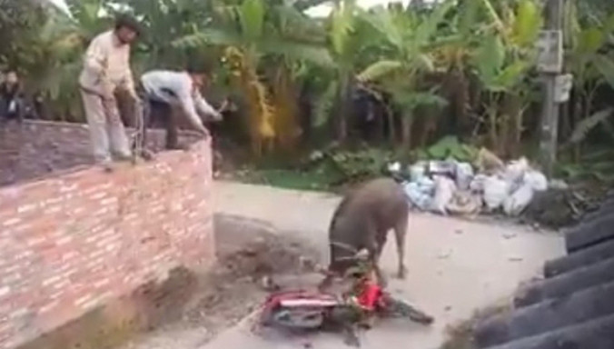 Ảnh minh họa: Internet.