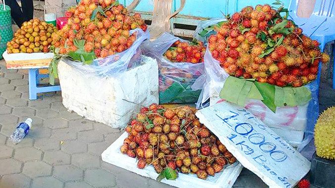 Mặc dù mới đầu mùa nhưng chôm chôm cũng chỉ có giá 10.000 đồng/ 1kg 