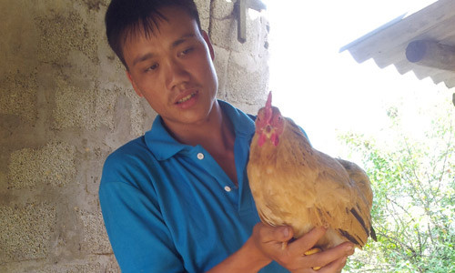 Anh Hoàng Dàu Hang khoe con gà mái nhiều cựa. Ảnh: Hồng Vân.