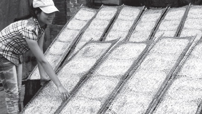 Xắn tay vào vụ bánh tết