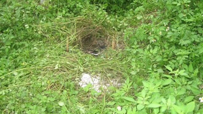 Hiện trường vụ việc.