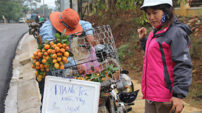 Trái thanh trà miền Tây 'đổ bộ' lên Đà Lạt, người mua tấp nập