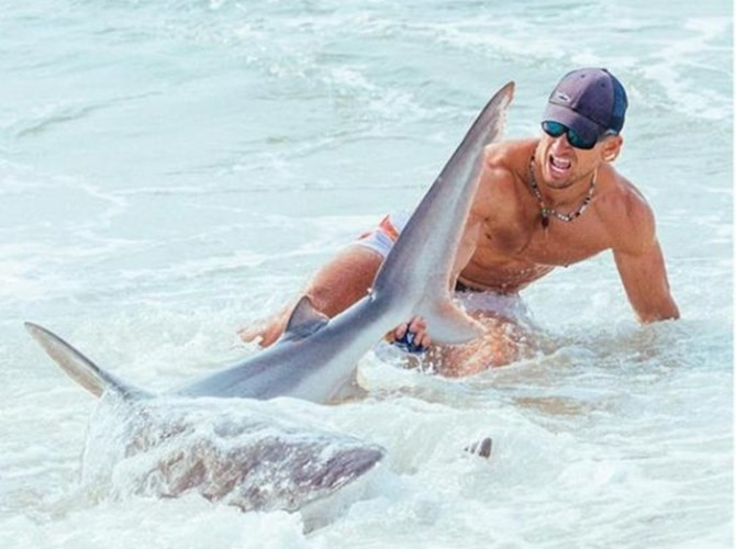 Cận cảnh ngư phủ bắt 100 'sát thủ đại dương'