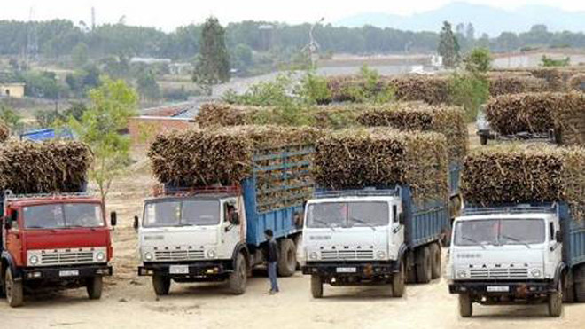 Công suất nhà máy đạt 18.000 tấn mía/ngày