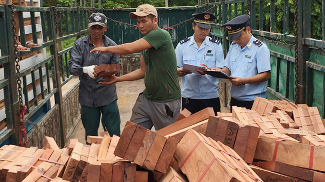 Ảnh minh họa của: Tuấn Nguyễn