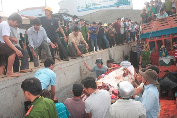 Thi thể ông Bảy được cơ quan chức năng đưa lên bờ để tiến hành khám nghiệm tử thi. Ảnh: Nguyễn Thành.