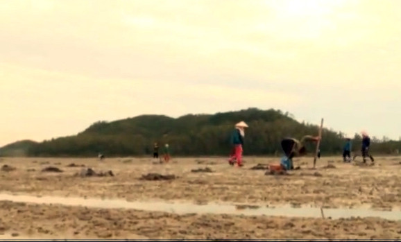 Săn đặc sản sá sùng ở đảo Quan Lạn