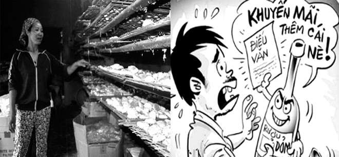 Cả nước hiện có hơn 2000 cơ sở sản xuất rượu nhưng chỉ có khoảng 10% công bố tiêu chuẩn chất lượng (nguồn báo Hải quan)