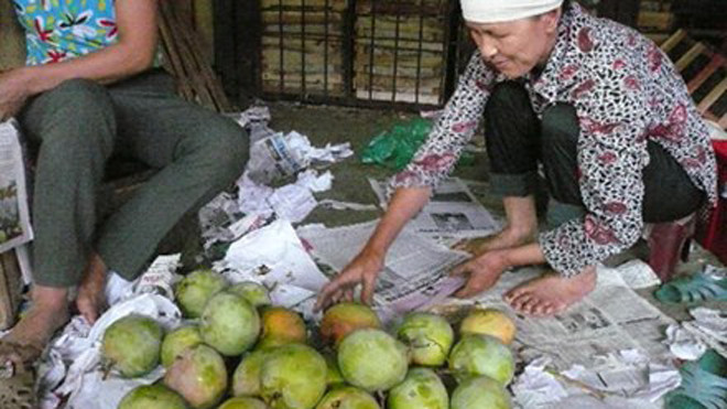 Nhập nhèm xoài, măng cụt Trung Quốc