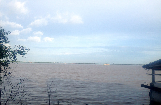  Khu vực sông Soài Rạp nơi cá sấu xuất hiện gây hoang mang cho người dân mấy ngày qua. 