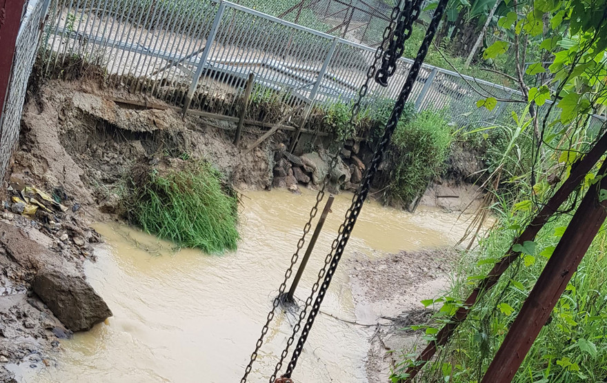Cho đến hôm nay, dòng suối bị nhiễm dầu vẫn có mùi khét. Ảnh Trần Hoàng
