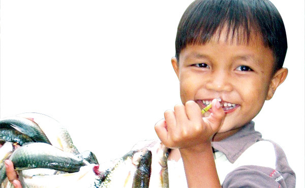 Cá niên - sản vật vùng cao xứ Quảng