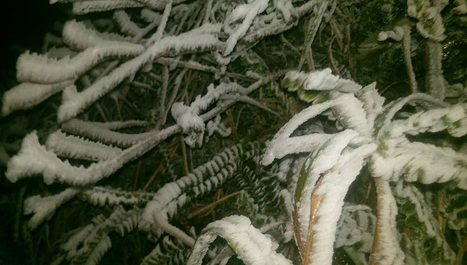 Lạng Sơn: Ra cửa nhà là thấy băng tuyết