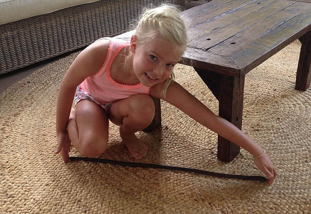 Sững sờ thấy giun đất khổng lồ ở Úc