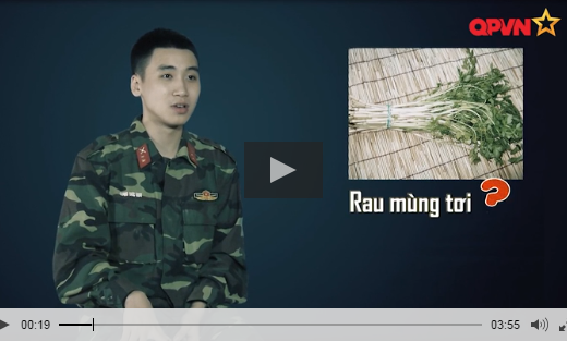 Huy Cung gọi rau cần là rau mùng tơi.