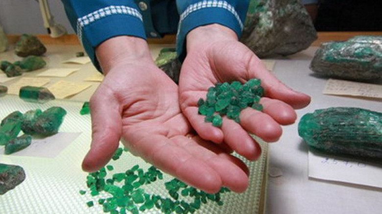 Ảnh minh họa. (Nguồn: askural.com).