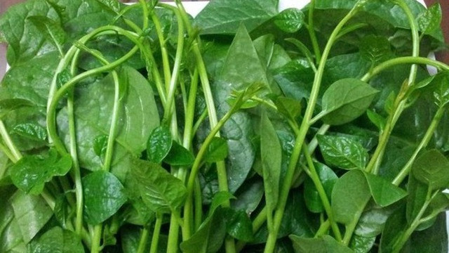 Rau mồng tơi tốt cho sinh lý đàn ông