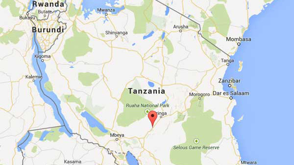 Container đè hành khách xe buýt, 63 người thương vong