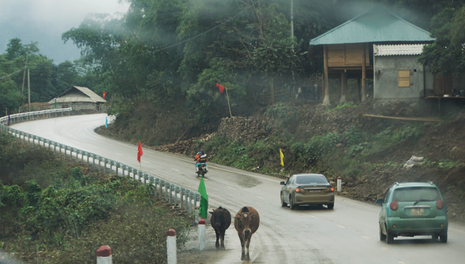 Một đoạn tuyến của dự án.