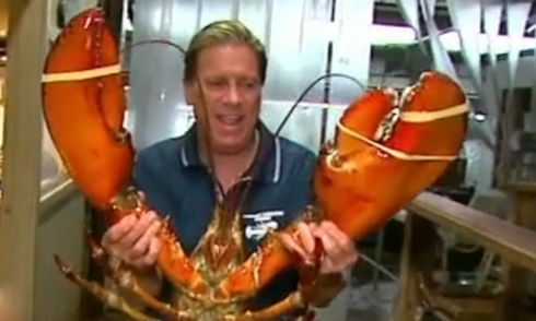 Bắt được tôm hùm khổng lồ 95 tuổi nặng hơn chục kg