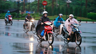 Ảnh minh họa. Internet.