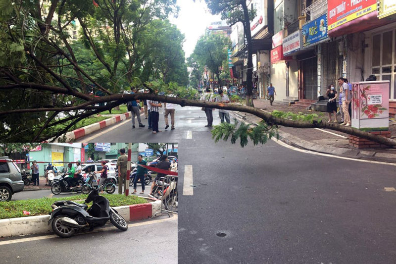 Hiện trường vụ việc.