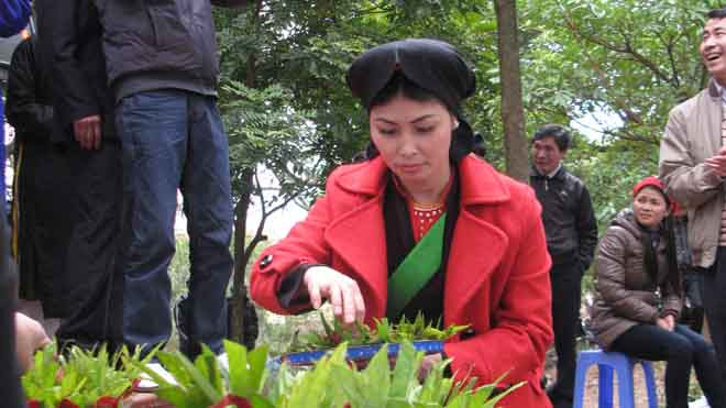 Một liền chị têm trầu cánh phượng. Ảnh: nguyễn trường