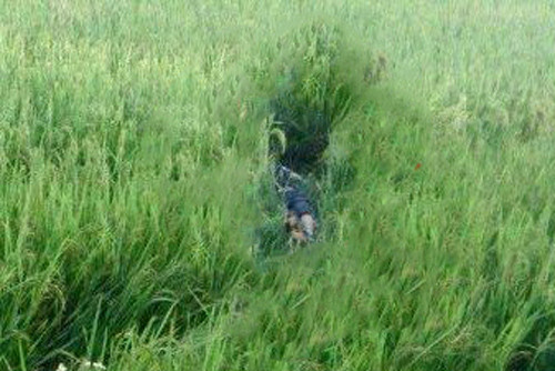 Hiện trường nơi xảy ra vụ việc