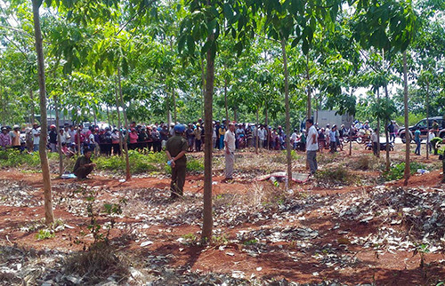 Hiện trường vụ án mạng trong rừng cao su ven quốc lộ 20. Ảnh: Hoàng Trường