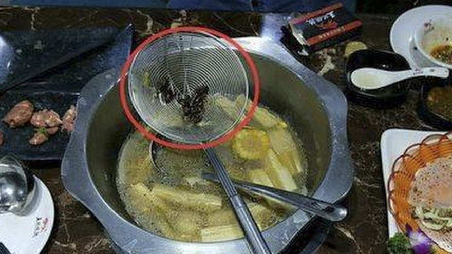 Thực khách tá hỏa phát hiện gián trong nồi lẩu.