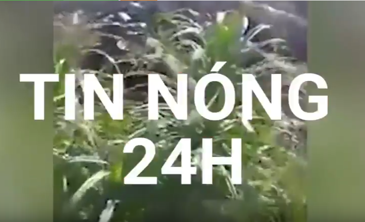 Tin nóng 24H: Lộ video được cho là ghi lại cảnh sát hại ông Kim Jong-nam