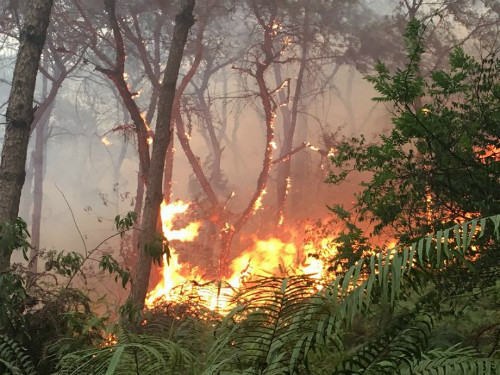 Hiện trường vụ cháy. Ảnh: Giao thông quốc gia.