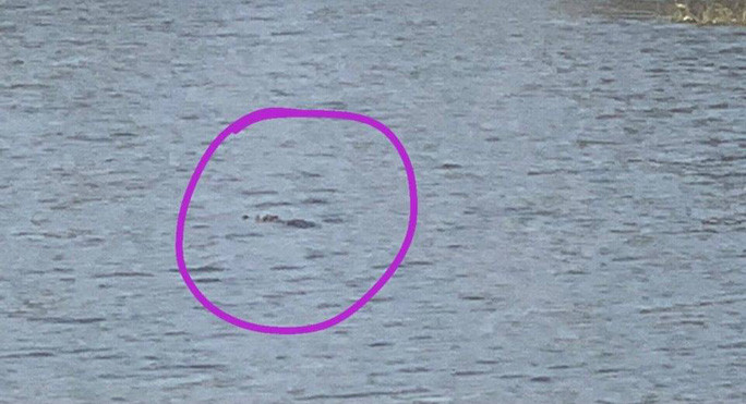 Nơi phát hiện cá sấu. Ảnh: NLĐ