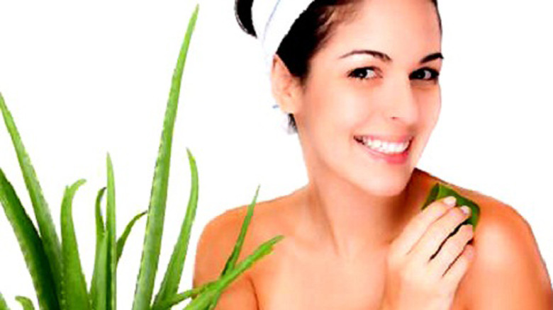 Lô hội cực kỳ hiệu quả trong việc trị mụn, làm mờ vết thâm và chữa cháy nắng.