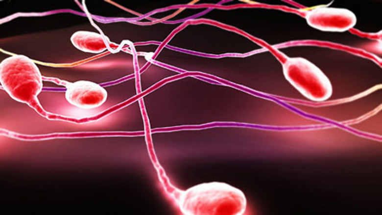 Khi tinh dịch có máu, cần đến khám bác sĩ và điều trị.