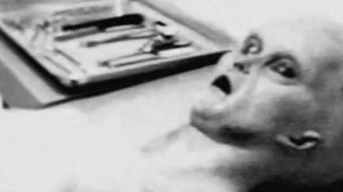 Nguồn: mirror.co.uk.